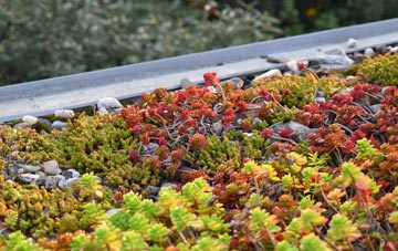 the cost of Whinfield green roof installation